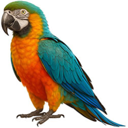 Second-Generation Macaws